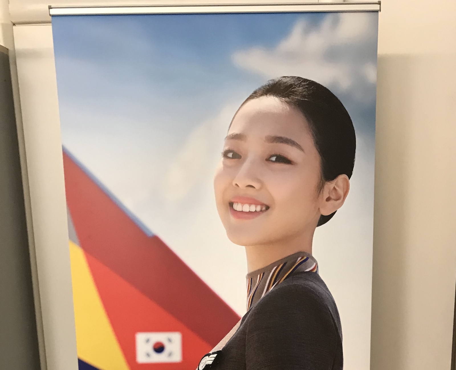 Roll-Up Personalizzato per compagnie aeree, stampa su supporto PVC riavvolgibile